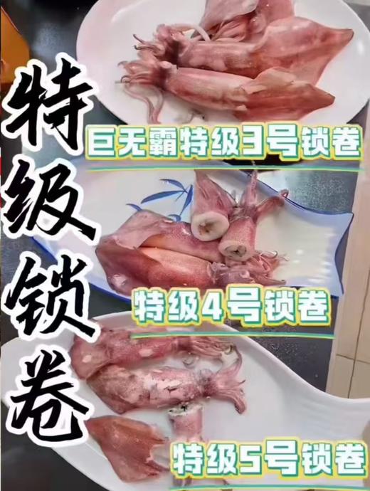 特级万来锁卷全规格系列 商品图0