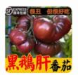 黑鹅肝番茄/1*1斤 商品图0