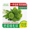 新鲜绿毛球/10支*1把 商品缩略图0