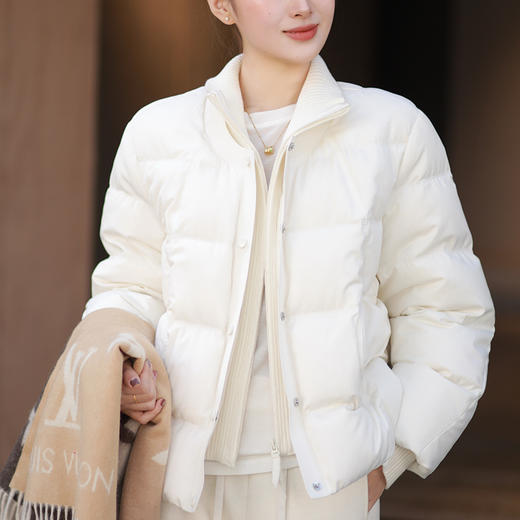 【部分现货】良木礼立领鹅绒服（0310） 商品图0