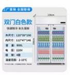 饮料柜冷藏展示柜/1*1台 商品图0