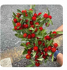 鲜花-千日红/1*1扎 商品缩略图0