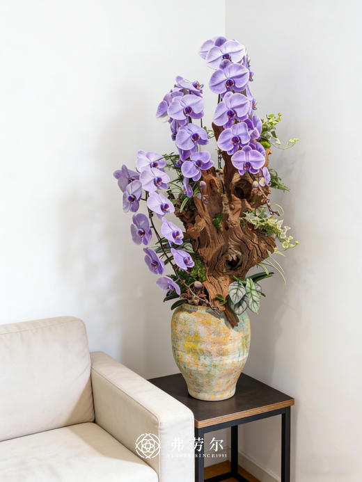 八方来财-马卡龙蝴蝶兰紫 商品图0