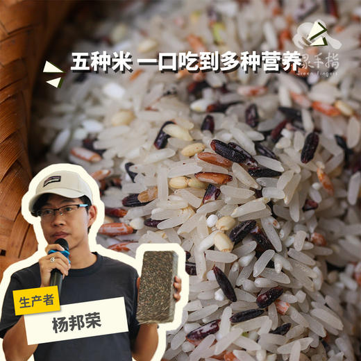 生态五彩宴米（紫米/红米/绿香珠米）| 合作生产*Ecological NiuGeng Rice| Coproduction 商品图0