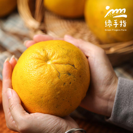 有机黄金葡萄柚| 合作生产*Organic Golden Grapefruit| Partner Production 商品图2