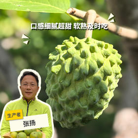 生态释迦果 | 合作生产* Ecological Custard apple | Coproduction