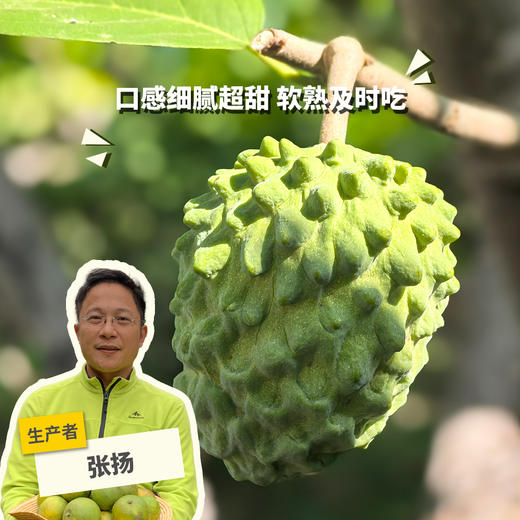 生态释迦果 | 合作生产* Ecological Custard apple | Coproduction 商品图0