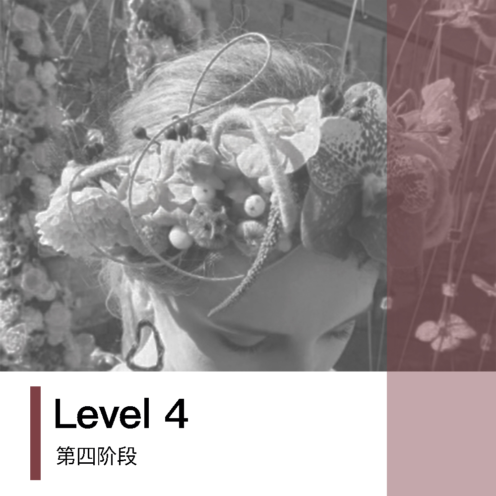 国际进阶及导师证书