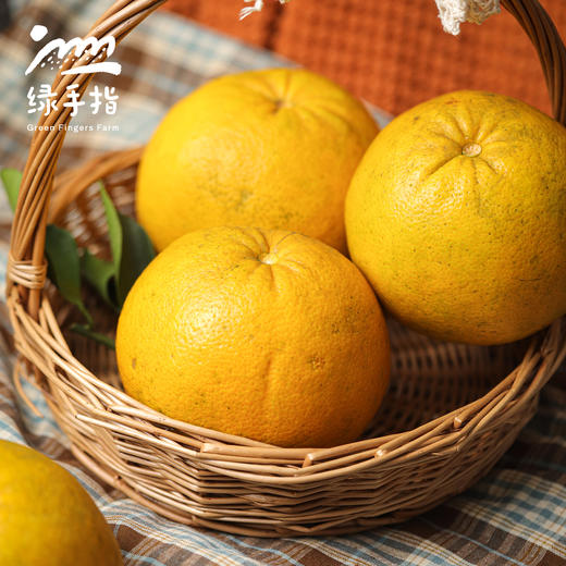 有机黄金葡萄柚| 合作生产*Organic Golden Grapefruit| Partner Production 商品图3