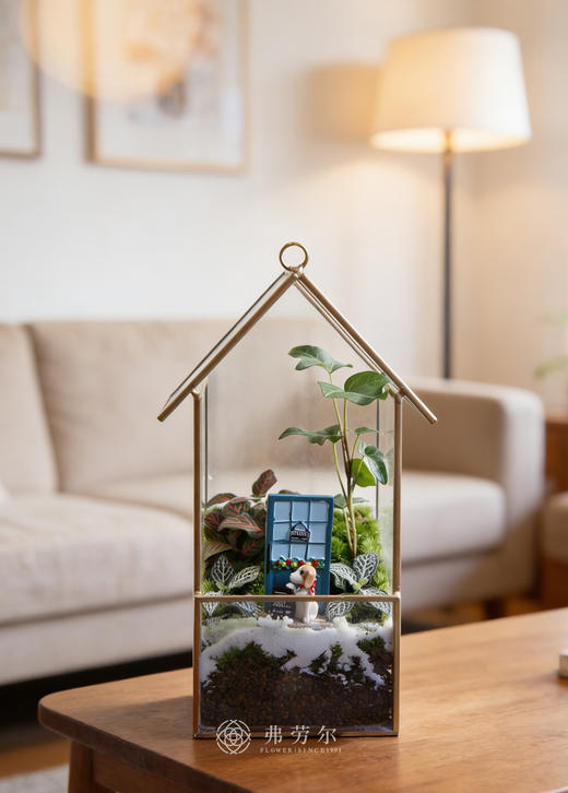 苔藓微景观 商品图0