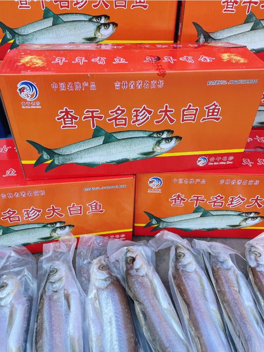 精品大白鱼一箱 商品图2