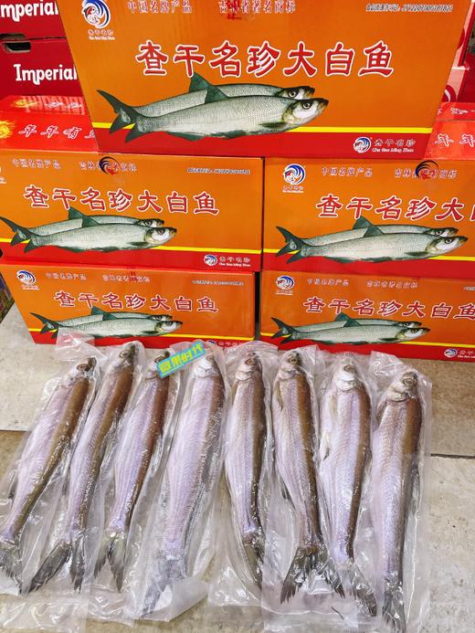 精品大白鱼一箱 商品图3