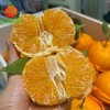 【柑橘皇后】甘平柑橘3个大果 约600g-650g 商品缩略图0