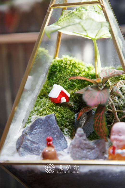 意境微景观（小） 商品图1