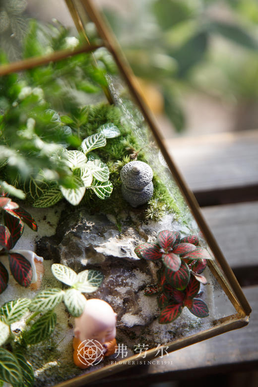 房屋微景观（小） 商品图2