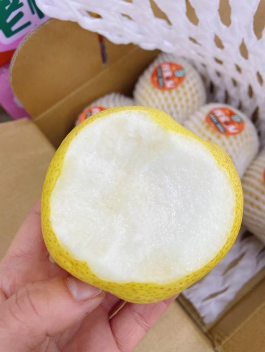 老树蜂蜜梨一箱 商品图3