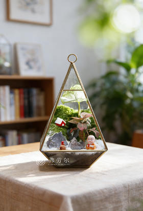 意境微景观（小）