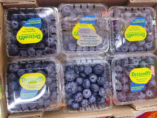 怡颗莓蓝莓2盒 商品图1