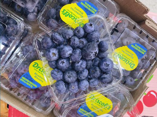 怡颗莓蓝莓2盒 商品图3