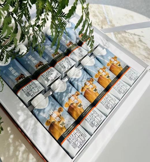 谢添地黑土娟姗纯牛乳  纯牛奶 商品图0