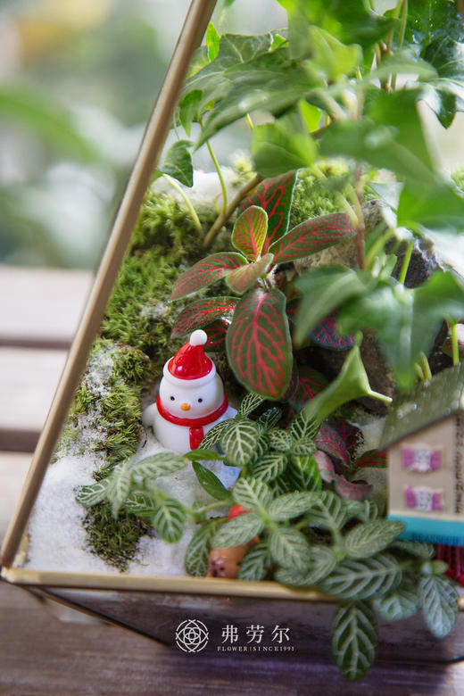 房屋微景观（小） 商品图1