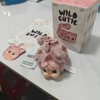 现货 CRYBABY豹豹猫猫哭娃搪胶毛绒挂件盲盒包挂钥匙 商品缩略图5