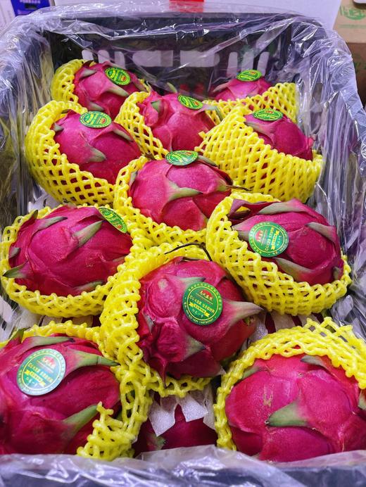 大红心火龙果3个 商品图0