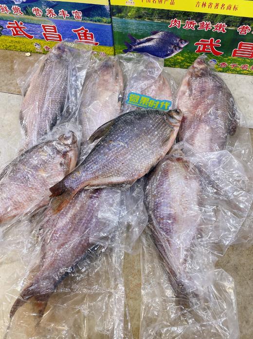 查干名臻武昌鱼一箱 商品图2