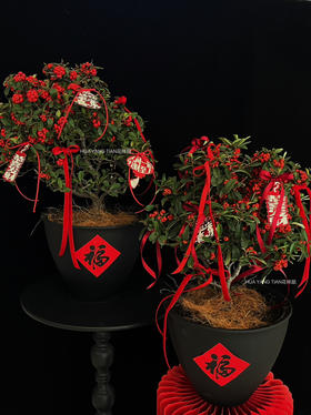 吉祥如意·吉祥果盆景