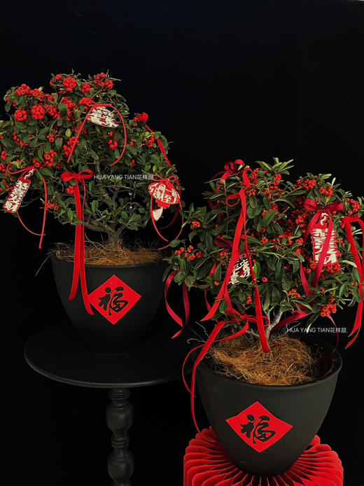 吉祥如意·吉祥果盆景 商品图0