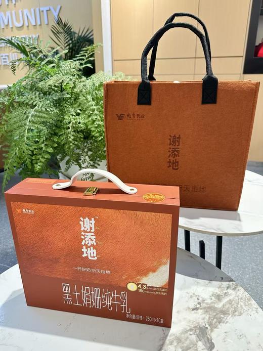谢添地黑土娟姗纯牛乳  纯牛奶 商品图1