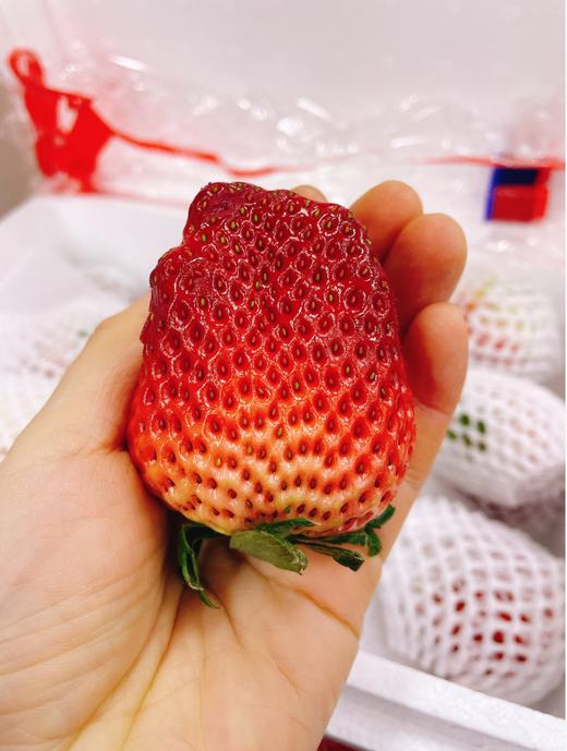老马岗奶霸草莓一箱 商品图1