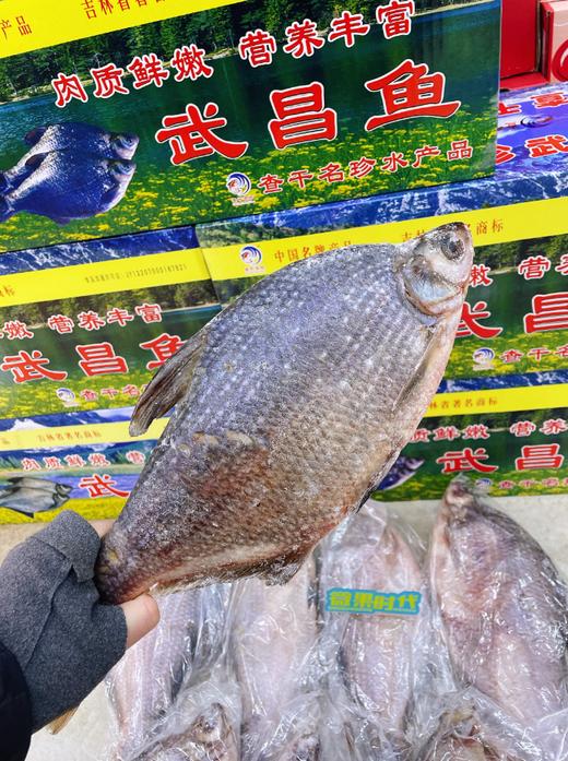 查干名臻武昌鱼一箱 商品图1