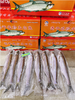 精品大白鱼一箱 商品缩略图0