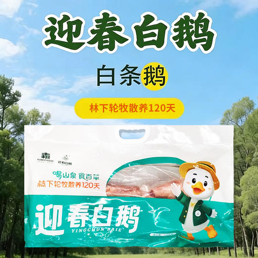 迎春白鹅1.5kg 商品图0