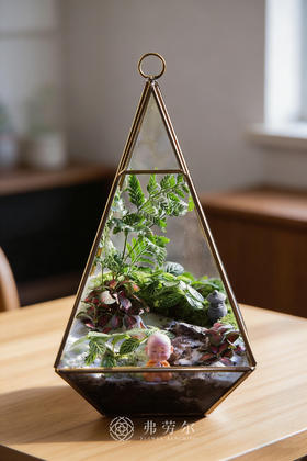 房屋微景观（小）