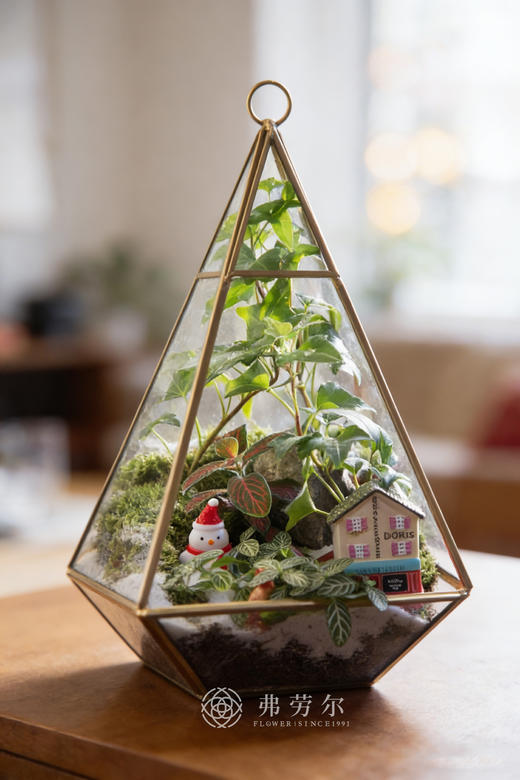 房屋微景观（小） 商品图0