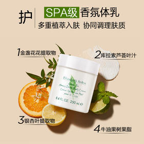 伊丽莎白雅顿 绿茶身体乳系列 绿茶蜜滴润体霜 绿茶身体乳