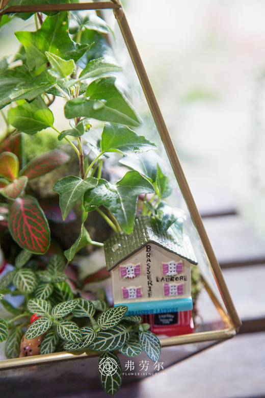 房屋微景观（小） 商品图2