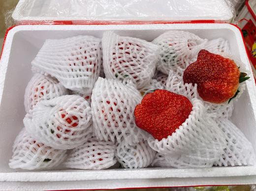老马岗奶霸草莓一箱 商品图0