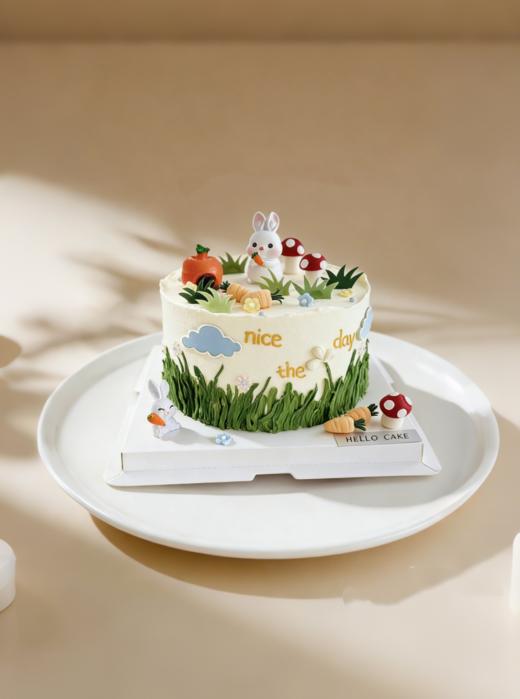 森林兔 商品图0