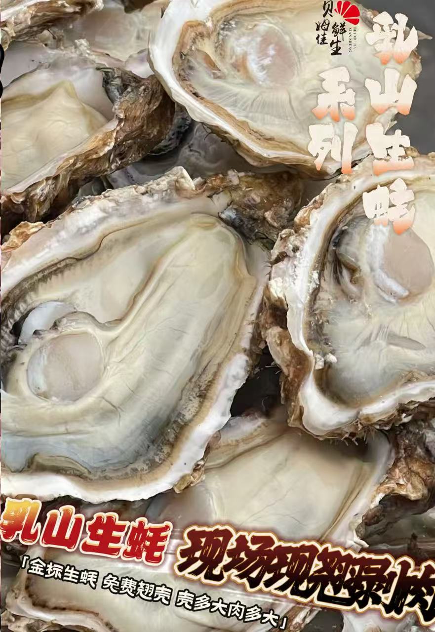 乳山生蚝全规格系列