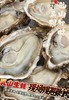 乳山生蚝全规格系列 商品缩略图0