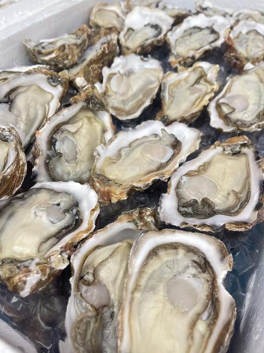 乳山生蚝全规格系列 商品图1