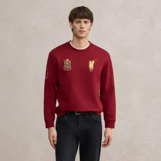 POLOWALK 男式卫衣（薄绒-圆领）AQ3W54210012 [广百北京路店] 【9F-折扣】 商品图3