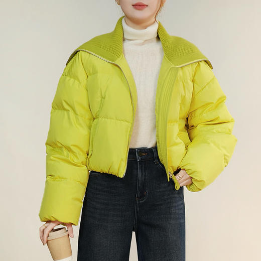 【特价不退换】【预售7天】良木礼翻领短款鹅绒服（D8258F） 商品图4