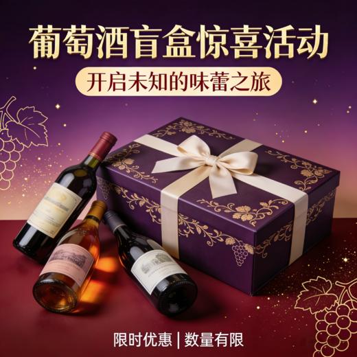 葡萄酒盲盒 商品图0