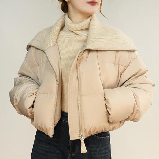 【特价不退换】【预售7天】良木礼翻领短款鹅绒服（D8258F） 商品图0