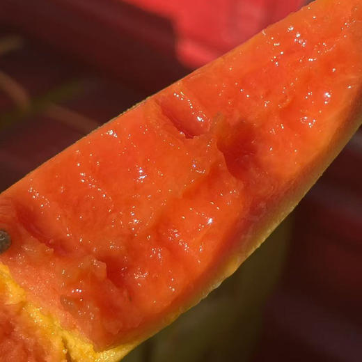 海南·树上熟「木瓜」 整件3~4个 约2.8kg 商品图10