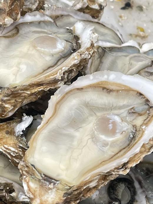 乳山生蚝全规格系列 商品图2